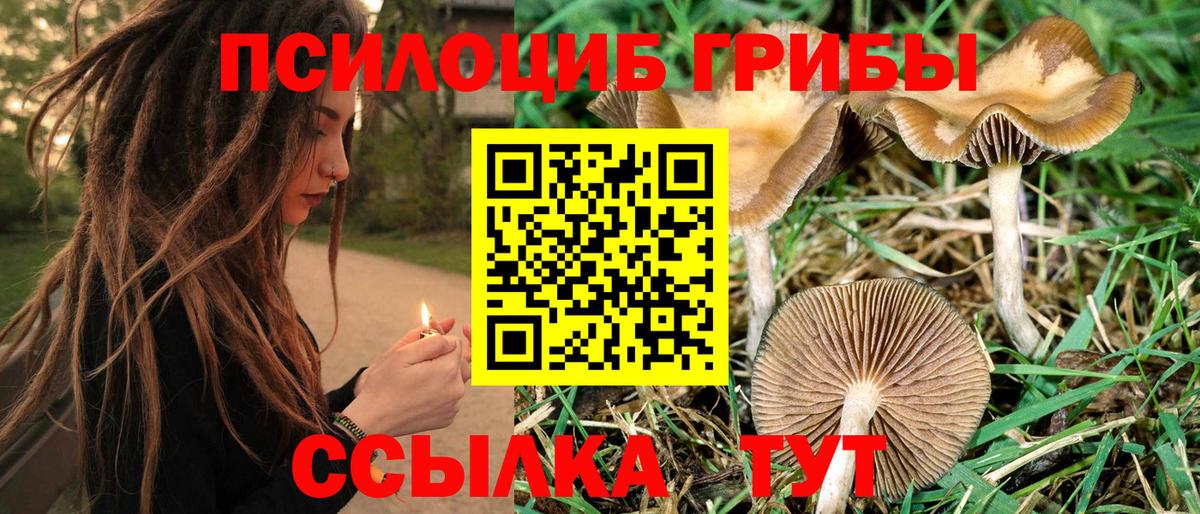 как найти закладки  Галлюциногенные грибы MAGIC MUSHROOMS  Звенигород  Вход с VPN  Галлюциногенные грибы MAGIC MUSHROOMS 
