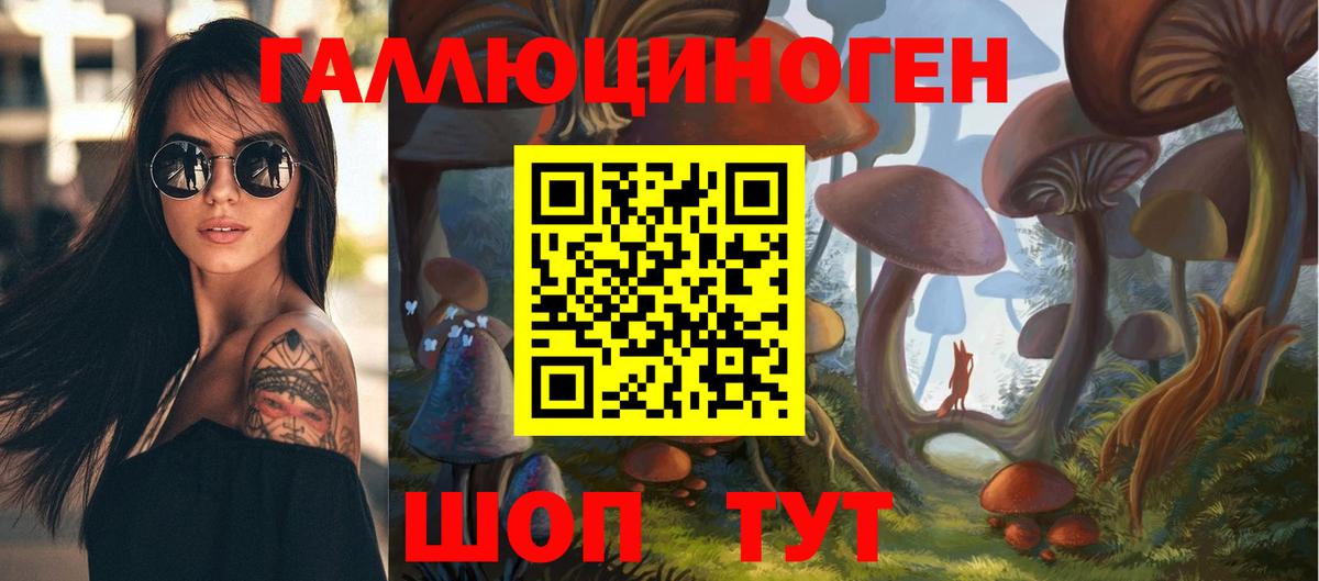 Псилоцибиновые грибы мицелий Звенигород